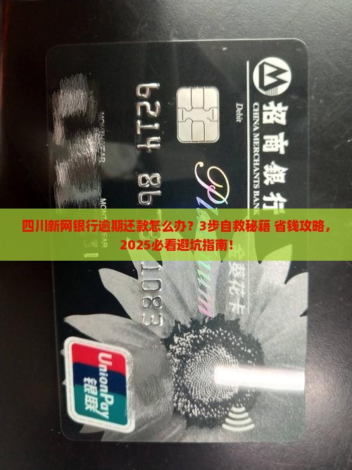 四川新网银行逾期还款应该怎么处理