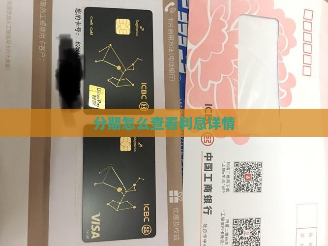 白条分期怎么查看利息详情