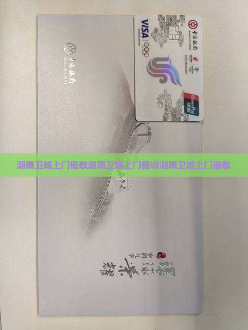 湖南卫城上门催收