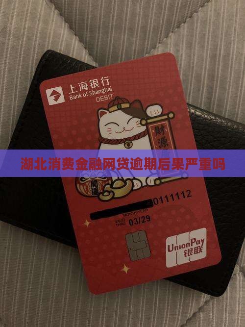 湖北消费金融网贷逾期后果严重吗