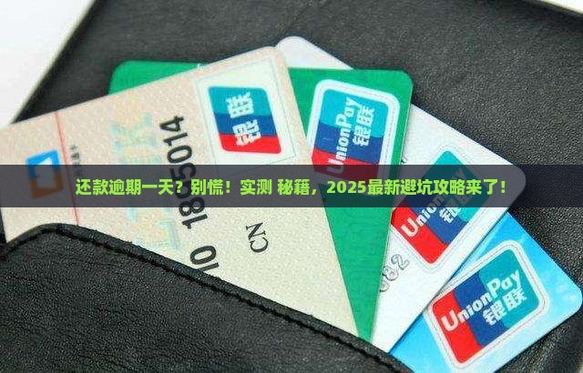 羊小咩逾期一天还款会如何处理
