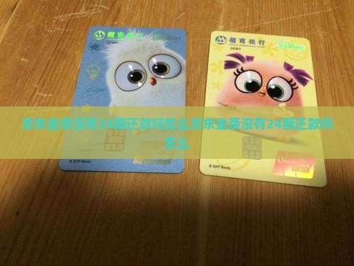 京东金条没有24期还款吗怎么办理