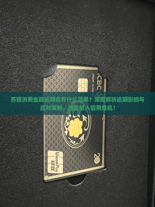 苏银消费金融逾期会有什么后果