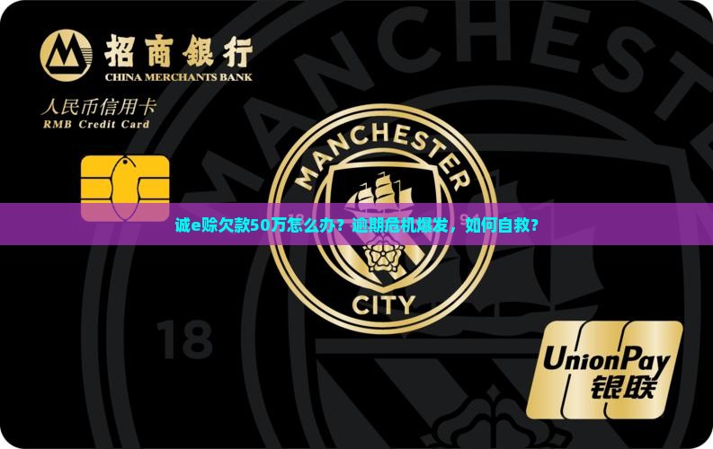 诚e赊欠款50万怎么办