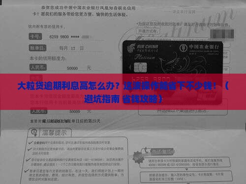 大粒贷逾期利息高如何解决