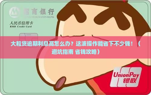 大粒贷逾期利息高如何解决