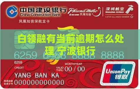 白领融有当前逾期应如何解决