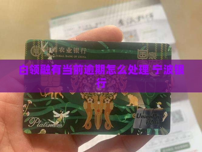白领融有当前逾期应如何解决