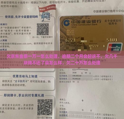 欠京东金条一万一怎么处理