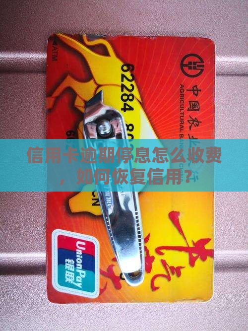 网贷信用卡全部逾期停息怎么收费