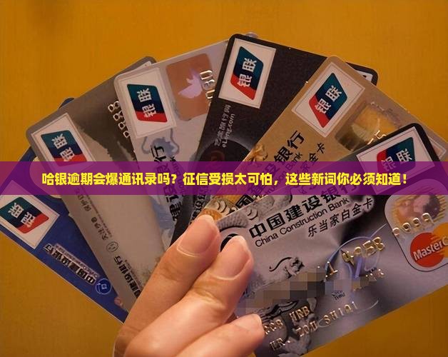 哈银逾期爆通讯录吗
