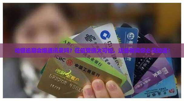 哈银逾期爆通讯录吗