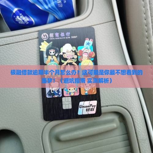 极融借款逾期半个月怎么办