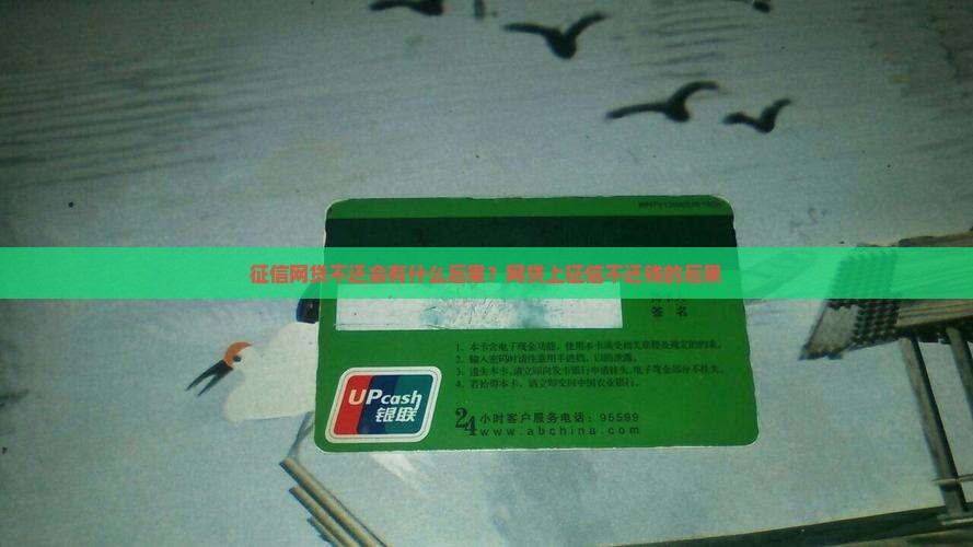 征信网贷不还会有什么后果