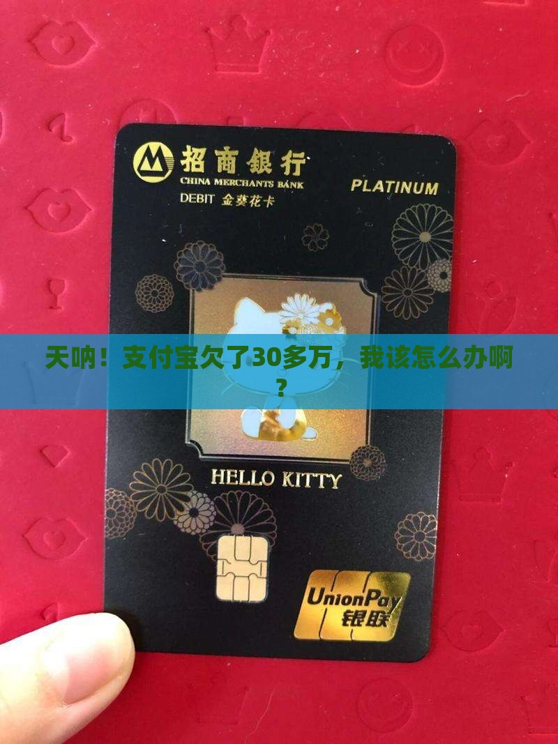 支付宝逾期30多万如何处理