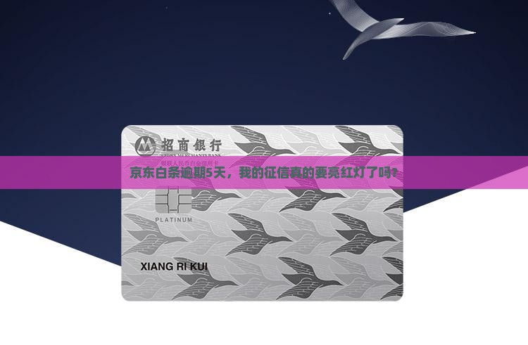 京东白条逾期5天会上征信吗