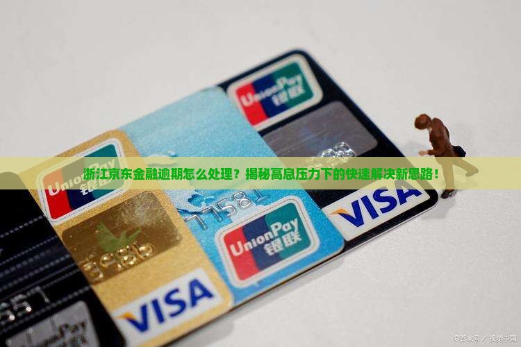 浙江京东金融逾期怎么处理快速解决方法分享