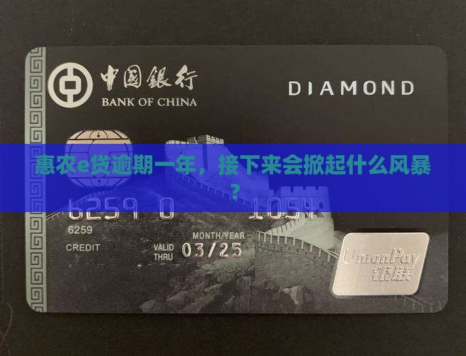 惠农e贷逾期一年后会发生什么
