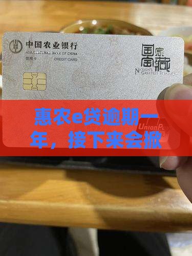 惠农e贷逾期一年后会发生什么