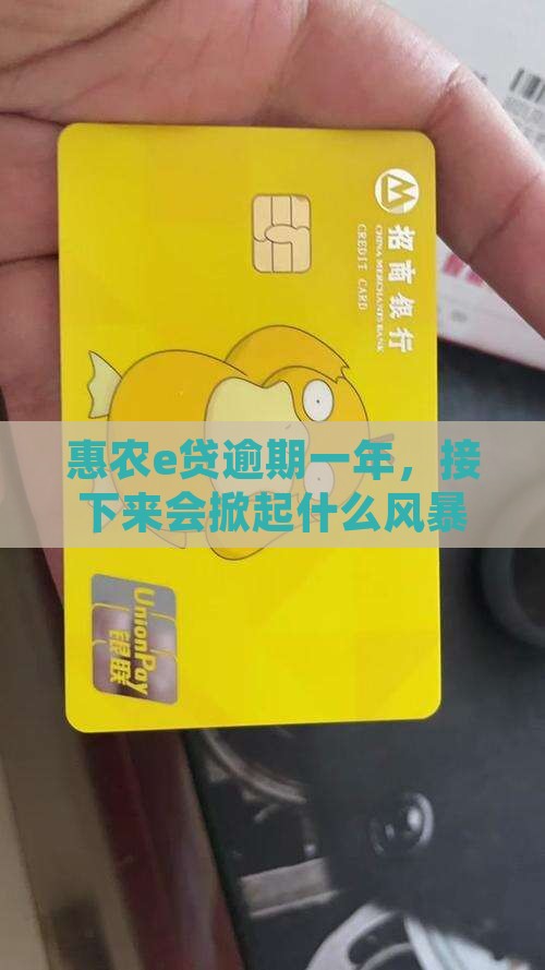惠农e贷逾期一年后会发生什么