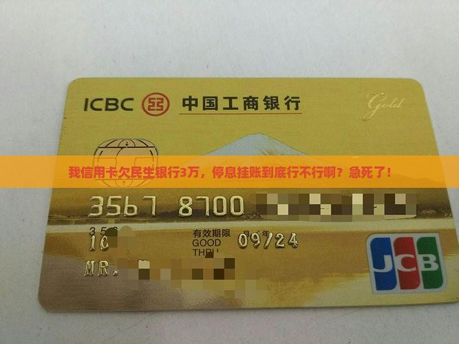 民生银行信用卡没有停息挂账吗