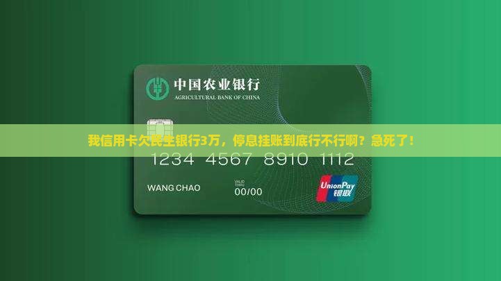 民生银行信用卡没有停息挂账吗