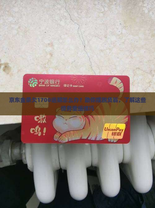 京东金条欠1700逾期怎么办