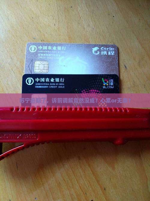 苏宁逾期诉前调解失败