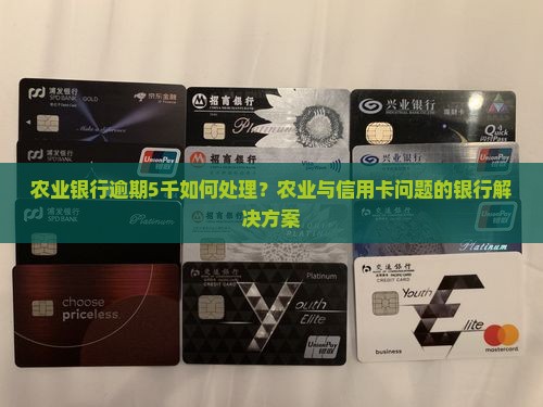 农业银行逾期5千如何处理 农业银行逾期5千如何处理