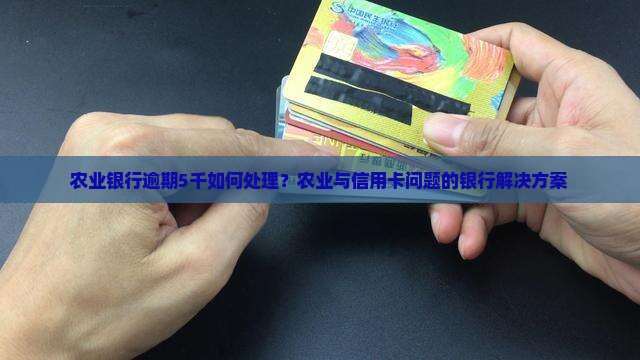 农业银行逾期5千如何处理 农业银行逾期5千如何处理