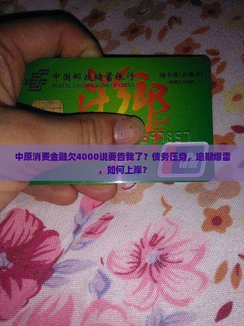 中原消费金融欠4000说告我了