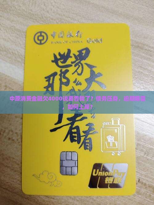 中原消费金融欠4000说告我了