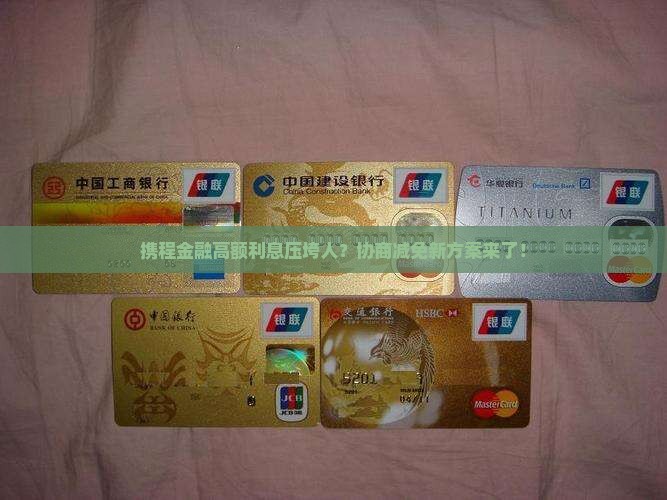 携程金融能协商减免利息吗