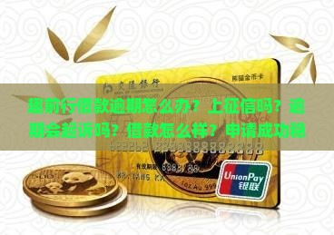 趣前行借款逾期怎么办