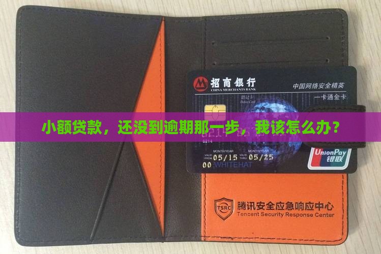小额贷款但未逾期