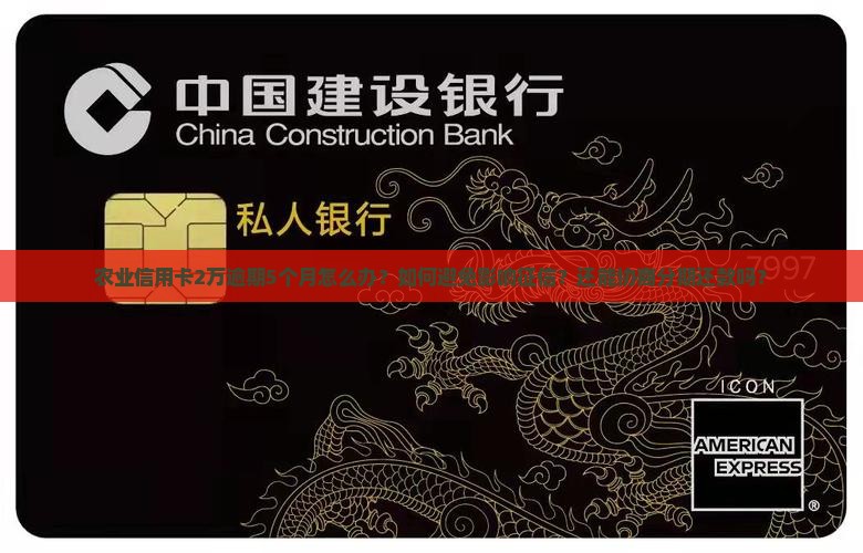 农业信用卡2万逾期5个月如何处理