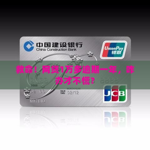 网贷1万多逾期1年如何处理