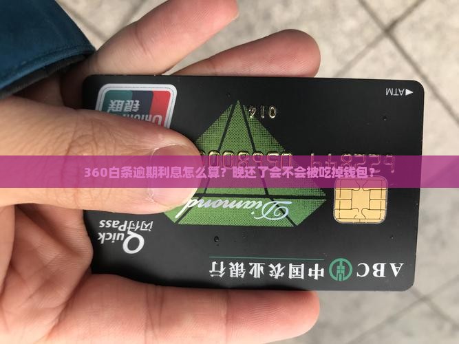 360白条逾期利息多少该如何计算