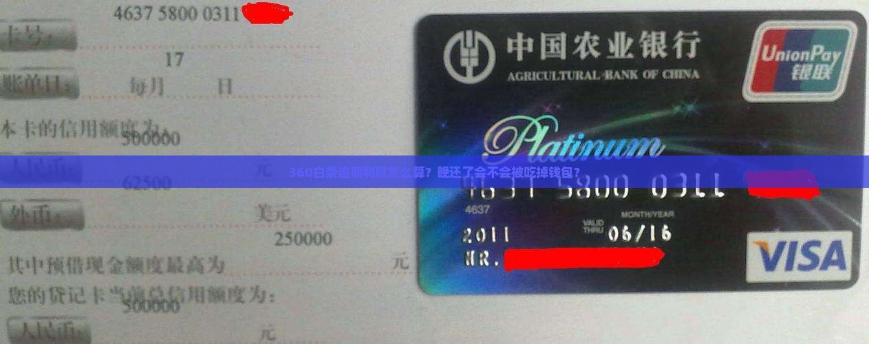 360白条逾期利息多少该如何计算