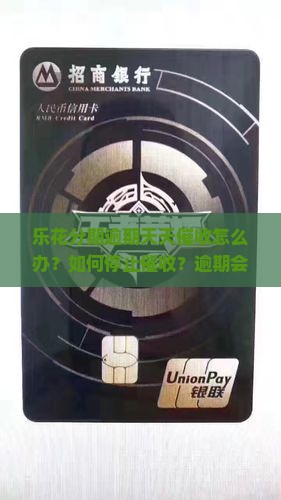 乐花分期逾期天天催收