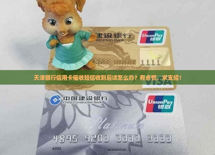 天津银行信用卡催收短信怎么处理
