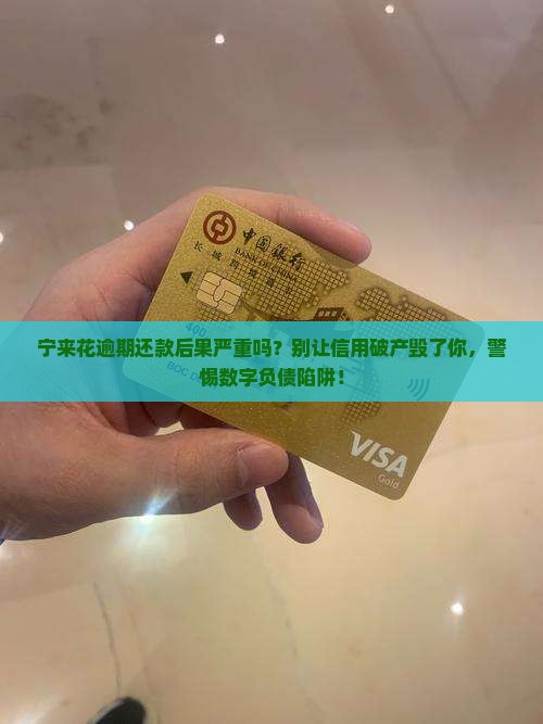 宁来花逾期还款后果严重吗