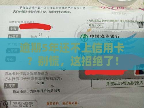 信用卡逾期5年无力偿还应该怎么处理