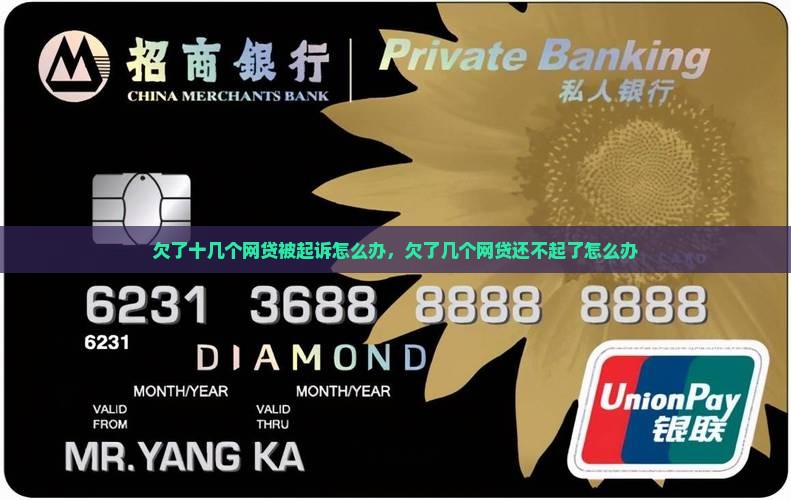 欠了十几个网贷被起诉怎么办