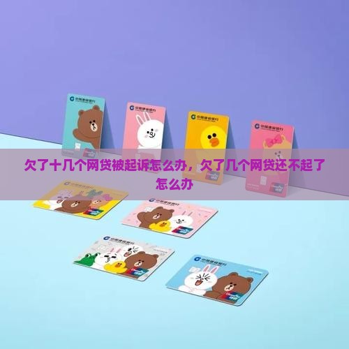 欠了十几个网贷被起诉怎么办