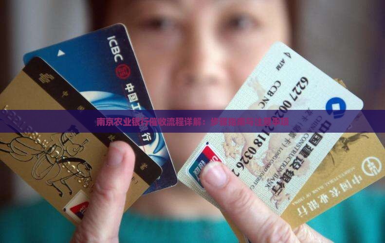 南京农业银行催收流程详解