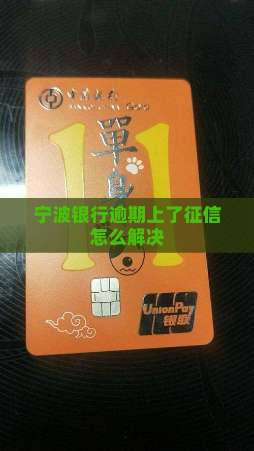 宁波银行逾期了上了征信如何解决