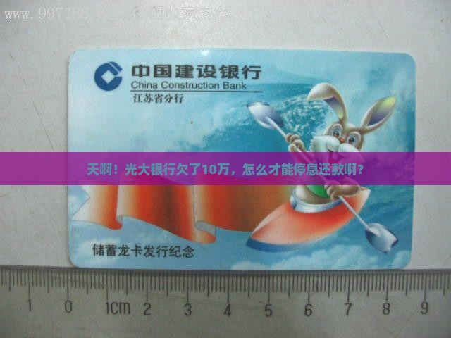 光大银行欠款10万如何停息还款