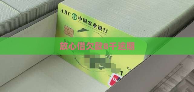 放心借欠款8千逾期