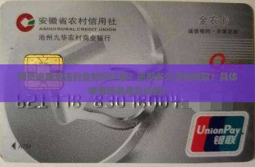 网贷逾期多久违约金如何计算